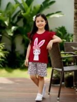 Stylish Half Sleeve T-shirt & Pant Set, স্টাইলিশ হাফ স্লিভ টি-শার্ট ও প্যান্ট সেট। MNK SHOP - Image 3