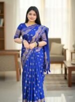 Traditional Weaving Japani Silk Skin Print Saree with Blouse Piece | ঐতিহ্যবাহী বুনন স্টাইলিশ জাপানি সিল্ক শাড়ি । MNK SHOP - Image 3