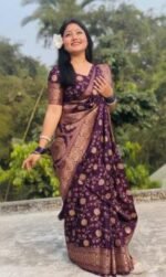 Rich Benaroshi Texture Japani Silk Saree with Blouse Piece Outfit | অভিজাত বেনারসী টেক্সচার স্টাইলিশ শাড়ি আউটফিট । MNK SHOP - Image 15