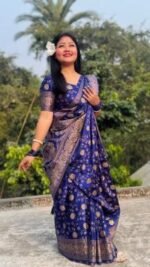 Rich Benaroshi Texture Japani Silk Saree with Blouse Piece Outfit | অভিজাত বেনারসী টেক্সচার স্টাইলিশ শাড়ি আউটফিট । MNK SHOP - Image 7