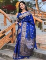 Rich Benaroshi Texture Japani Silk Saree with Blouse Piece Outfit | অভিজাত বেনারসী টেক্সচার স্টাইলিশ শাড়ি আউটফিট । MNK SHOP - Image 10