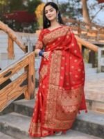 Rich Benaroshi Texture Japani Silk Saree with Blouse Piece Outfit | অভিজাত বেনারসী টেক্সচার স্টাইলিশ শাড়ি আউটফিট । MNK SHOP - Image 13
