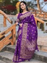 Rich Benaroshi Texture Japani Silk Saree with Blouse Piece Outfit | অভিজাত বেনারসী টেক্সচার স্টাইলিশ শাড়ি আউটফিট । MNK SHOP - Image 14