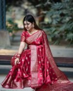 Royal Party Wear Japani Silk Saree with Blouse Piece Outfit | রয়েল পার্টি ওয়্যার আকর্ষণীয় ডিজাইন আউটফিট । MNK SHOP