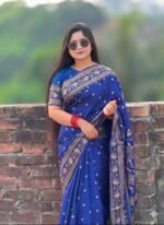 Rich Benaroshi Texture Japani Silk Saree with Blouse Piece Selection | অভিজাত বেনারসী টেক্সচার সিল্ক শাড়ির কালেকশন সিলেকশন । MNK SHOP - Image 6