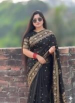 Rich Benaroshi Texture Japani Silk Saree with Blouse Piece Selection | অভিজাত বেনারসী টেক্সচার সিল্ক শাড়ির কালেকশন সিলেকশন । MNK SHOP - Image 9
