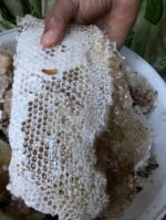 খাঁটি কালোজিরা ফুলের মধু | ১ কেজি | Pure Black Seed Flower Honey | 1 KG | MNK Shop - Image 4