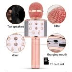 1 Piece WS-858 Wireless Bluetooth Karaoke Microphone | 5W HiFi Speaker | Voice Changer & Echo | 1800mAh Rechargeable Battery | KTV Handheld Mic | Rose Gold, Black & Sky Blue | MNK SHOP - Image 8